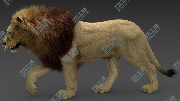 images/goods_img/20210312/Lion 3 (Fur) Animated 3D/2.jpg